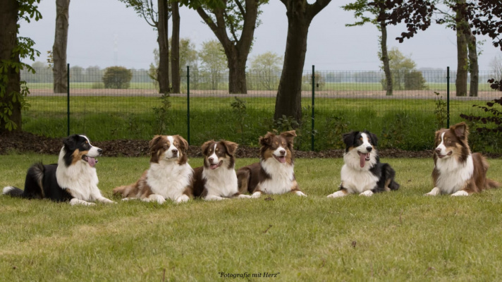 Wapi, Happy, Plötze, Peak, Inola & Cisko