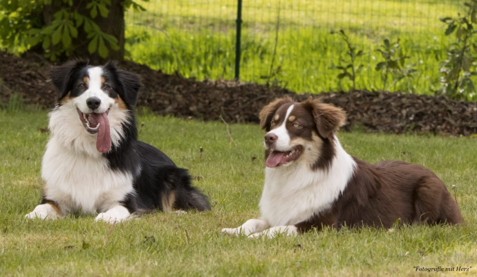 Inola & Plötze