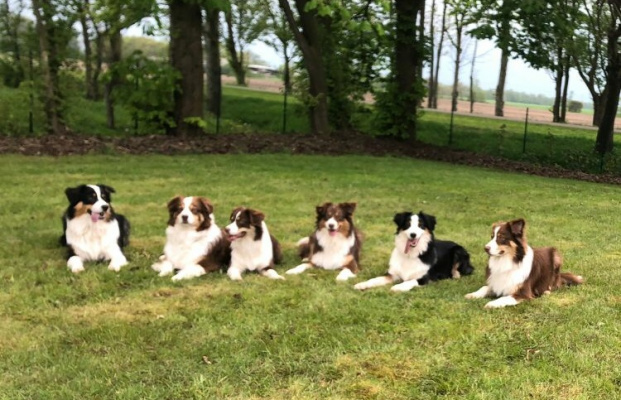 Wapi, Happy, Peak, Plötze, Inola & Cisko